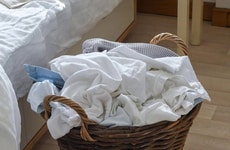 Science-Forward Cleaning Startups