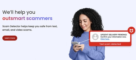 Scam-Detecting Online Protection Platforms