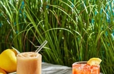 Bright Yuzu Beverages