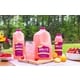 Real Ingredient-Focused Beverages Image 2