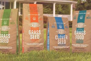 Curbside Recycling Solutions Article Thubnail
