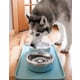 Innovative Pet Feeding Bowls Image 2