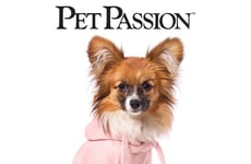 Sustainable Dog Clothes Brands