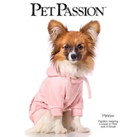 Sustainable Dog Clothes Brands Image 1