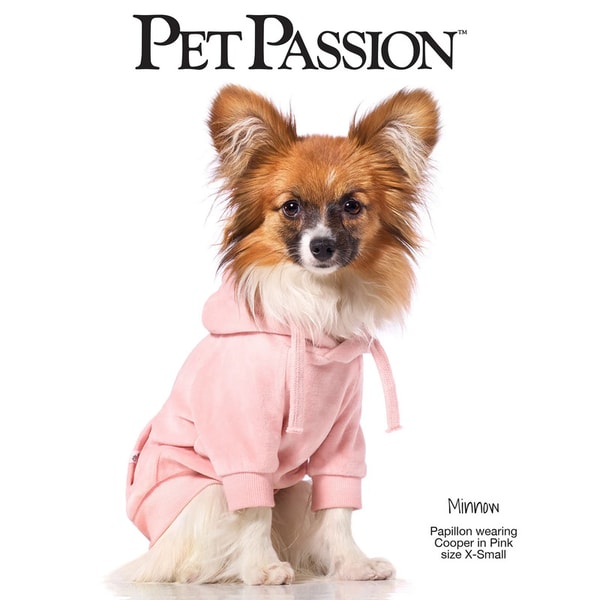 Sustainable Dog Clothes Brands
