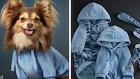 Sustainable Dog Clothes Brands Image 2