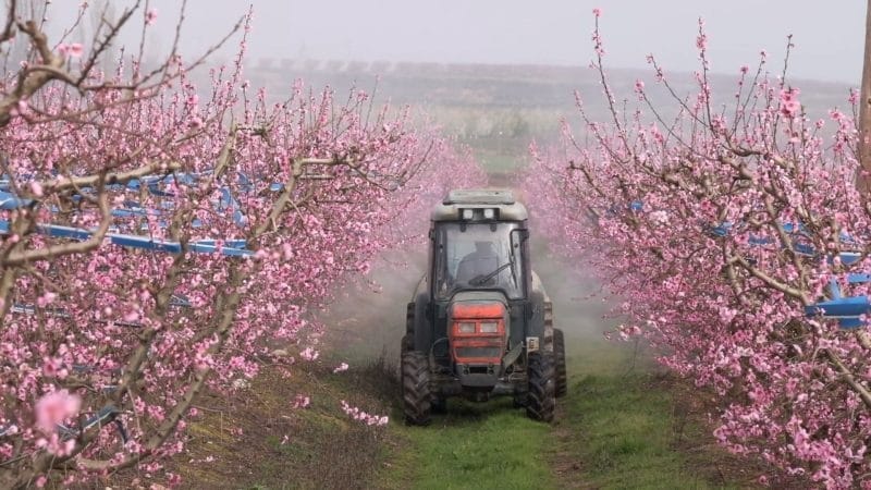 Eco-Friendly Pesticide Launches Article Thubnail
