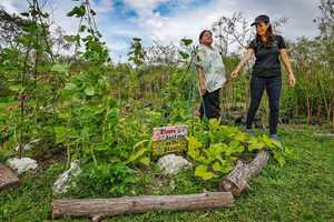 30 Innovations Combatting Food Waste Article Thubnail