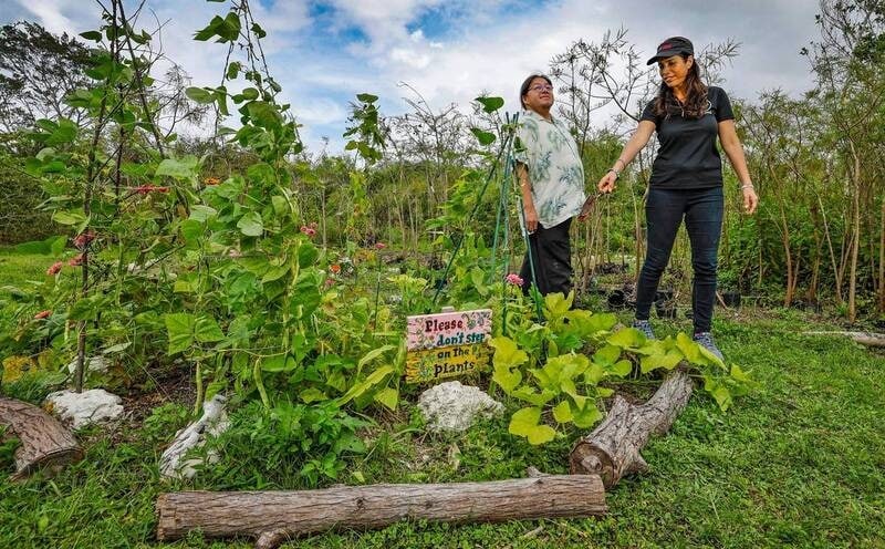 30 Innovations Combatting Food Waste Article Thubnail