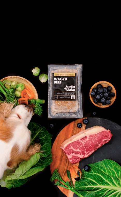 Wagyu Beef Dog Foods