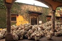 Immersive Tequila-Inspired Getaways Image 3