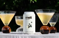 Quinoa-Based Beers