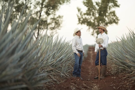 PATR&Oacute;N Hacienda: An Immersive Tequila Production Experience