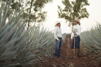 PATR&Oacute;N Hacienda: An Immersive Tequila Production Experience