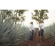 PATRÓN Hacienda: An Immersive Tequila Production Experience Image 1
