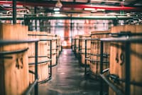 PATR&Oacute;N Hacienda: An Immersive Tequila Production Experience Image 3