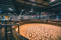 PATR&Oacute;N Hacienda: An Immersive Tequila Production Experience Image 5