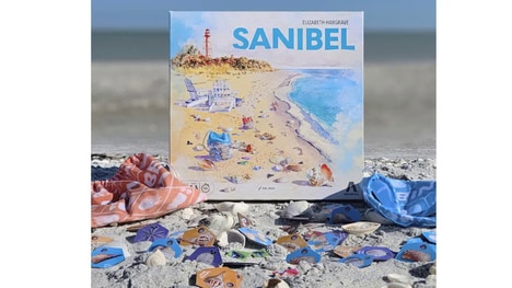 Cozy Coastal Board Games