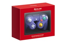 Modernized Retro Controllers