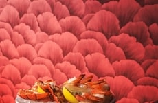 Immersive Upscale Dining Concepts