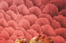 Immersive Upscale Dining Concepts
