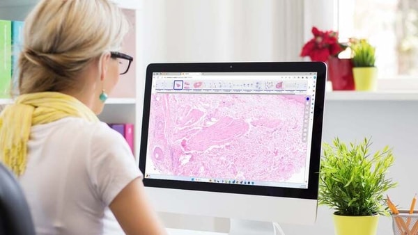 Digital Pathology Platforms