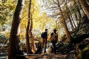 Sustainable Storytelling-Based Campaigns Article Thubnail