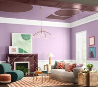 Color Appreciation Campaigns Image 3