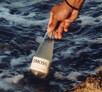 RTD Sea Moss Beverages Image 3