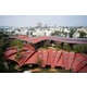 Leaf-Shaped Rooftop Schools Image 1
