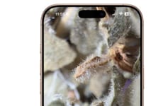 Mobile Magnification Tools