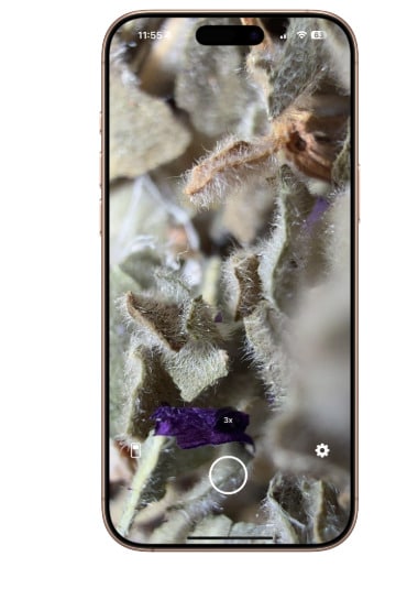 Mobile Magnification Tools