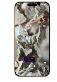 Mobile Magnification Tools Image 1