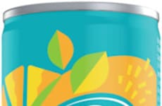 Summery Canned Mocktails