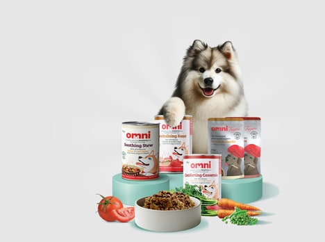 Allergy-Friendly Dog Foods