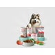 Allergy-Friendly Dog Foods Image 1