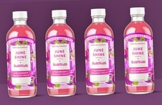 Fiber-Enhanced Kombuchas