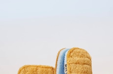 Compostable Kitchen Sponges Article Thumbnail