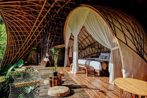 Harmonious Nature-Inspired Hotels Article Thubnail