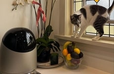Futuristic Feline Feeding Robots