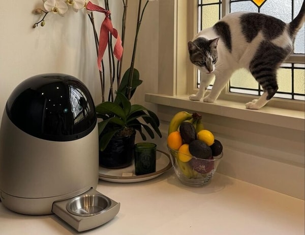 Futuristic Feline Feeding Robots