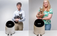 Futuristic Feline Feeding Robots Image 2