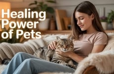 Relationship-Strengthening Pet Product Lines