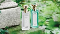 Summer-Ready Tea-Inspired Fragrances Image 1