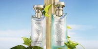 Summer-Ready Tea-Inspired Fragrances Image 2