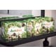 Brick-and-Mortar Digital Grocer Stores Image 1