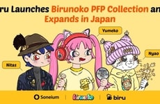 Artist-Made Profile Picture Capsules