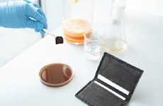 Self-Dying Plastic-Free Vegan Leathers