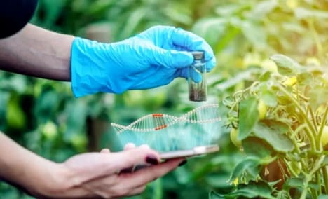 Agricultural Living Sensor Technologies