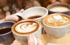 Enzymatic Plant-Based Drink Solutions
